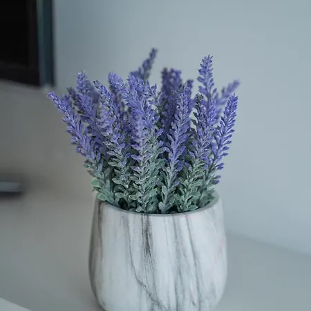Apartment Laurel *