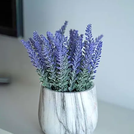 Apartment Laurel Tisno