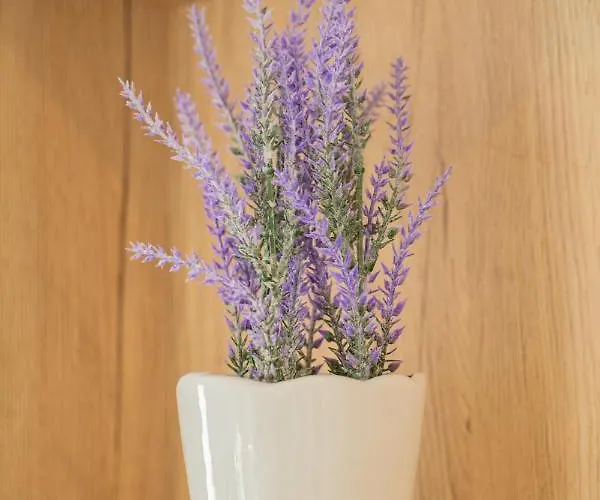 Laurel Apartamento Tisno